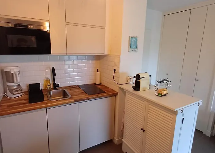 Apartment Ti Mauv - La Maison Des Embruns - Le Pouliguen